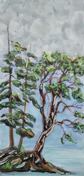 Treed Island_1422_IMG_20180830_191937184